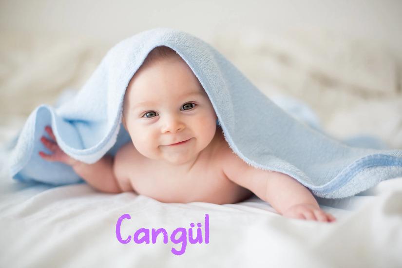 Cangül İsminin Anlamı Nedir?