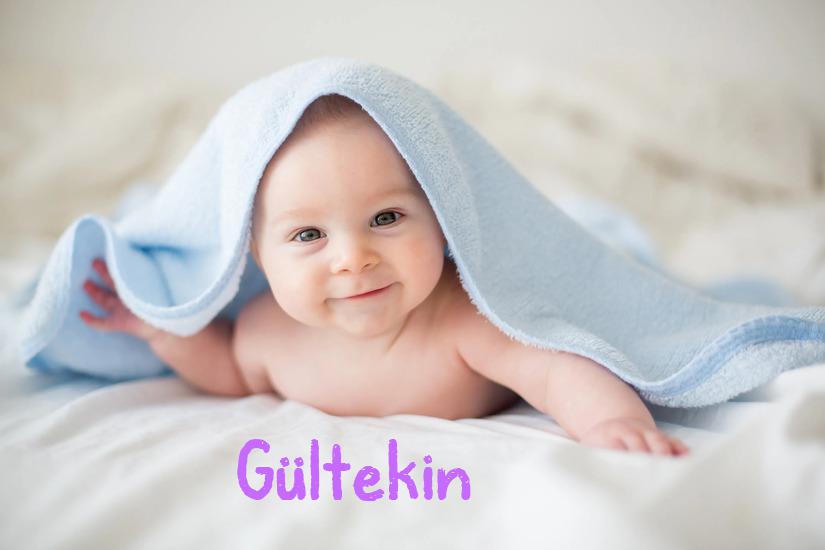Gültekin İsminin Anlamı Nedir?