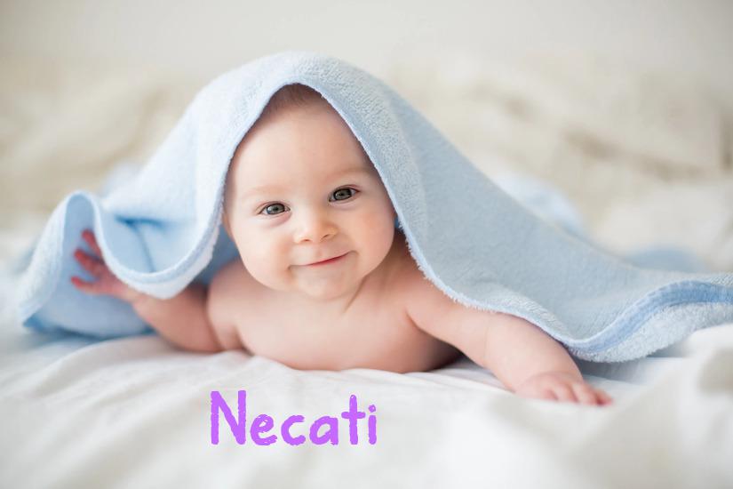 Necati İsminin Anlamı Nedir?