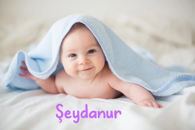 Şeydanur İsminin Anlamı Nedir?