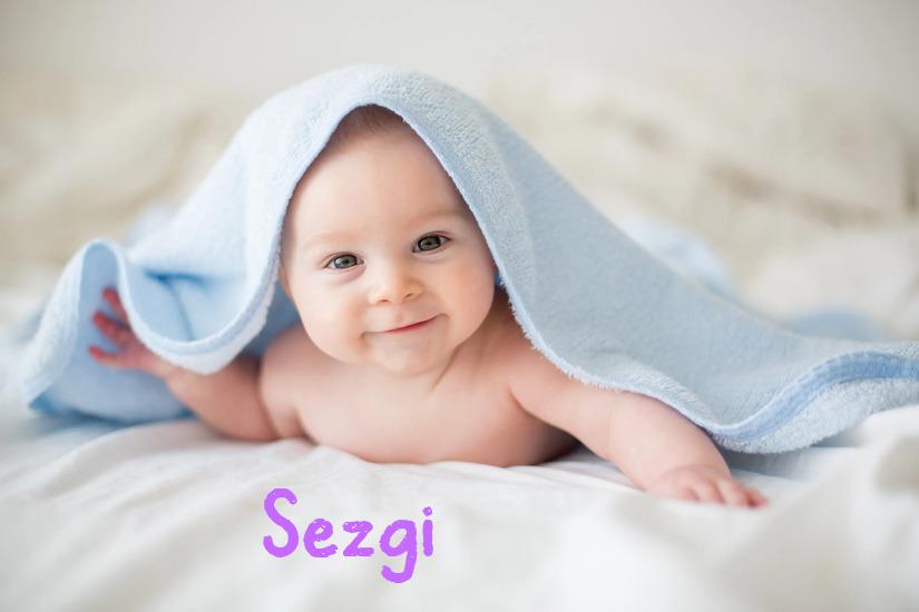 Sezgi İsminin Anlamı Nedir?